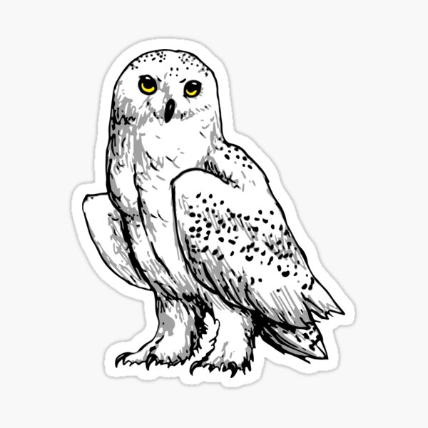 Snowy Owl Sticker