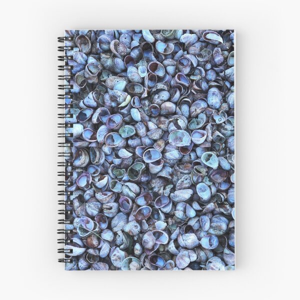 Item preview, Blue shell beach designed and sold by Angela Marshall.