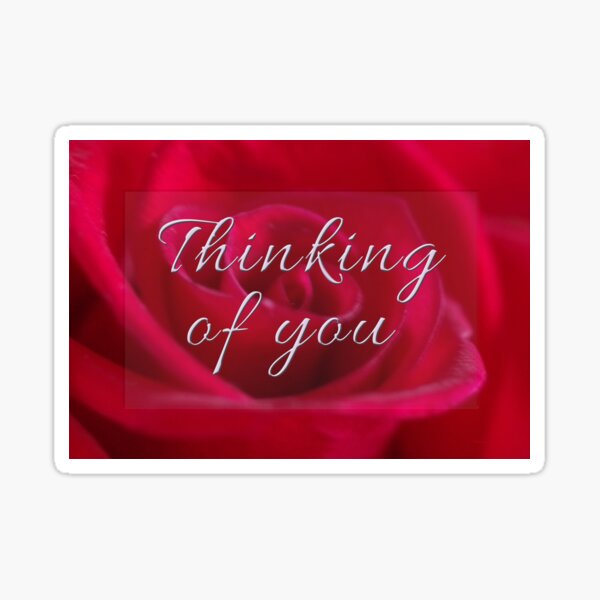 Thinking of you Sticker