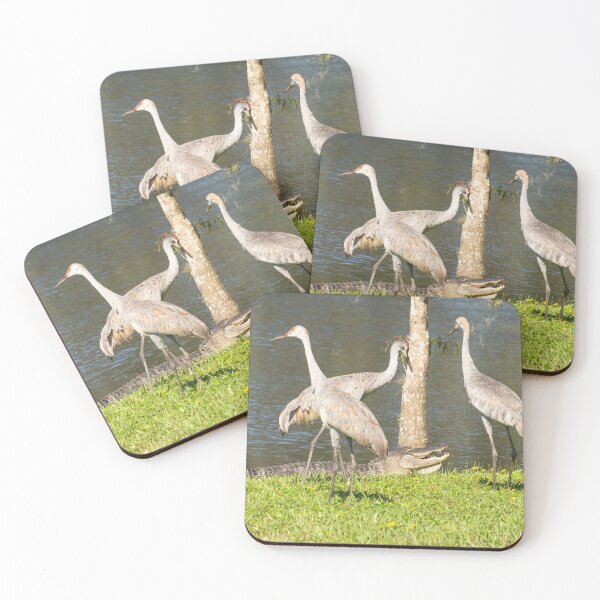Item preview, Alligator surrounded by Sandhill cranes designed and sold by Zina Stromberg.