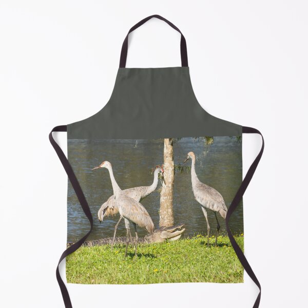 Item preview, Alligator surrounded by Sandhill cranes designed and sold by Zina Stromberg.