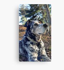 Somewhere Else. Canvas Print