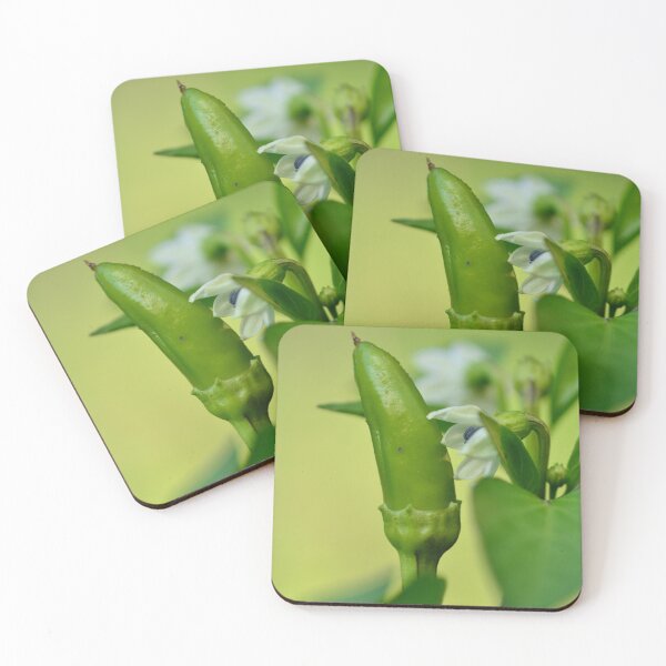 Item preview, Chilli pepper and blossoms in the urban garden designed and sold by wineandwords.