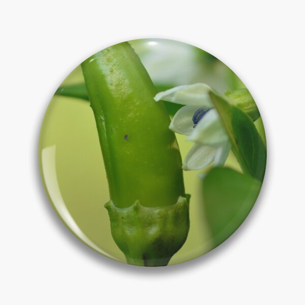 Item preview, Chilli pepper and blossoms in the urban garden designed and sold by wineandwords.