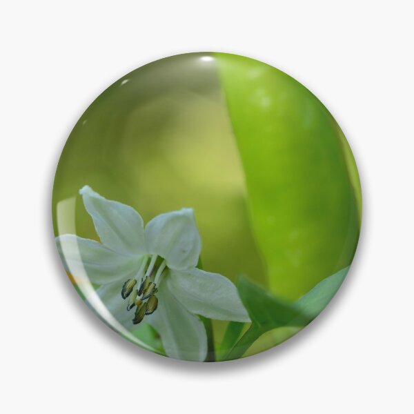 Item preview, Chilli pepper and flower in the urban garden designed and sold by wineandwords.