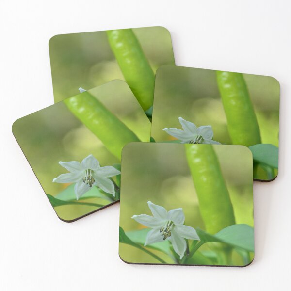 Item preview, Chilli pepper and flower in the urban garden designed and sold by wineandwords.
