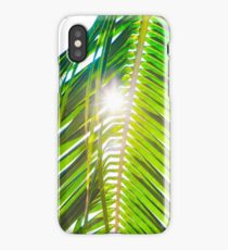 Palm Trees iPhone Case