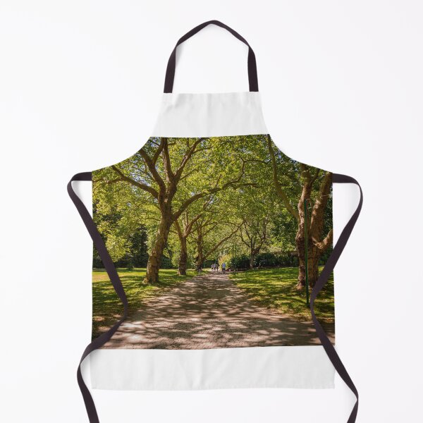 Item preview, A woodland path in Stanley Park, Vancouver, British Columbia, Canada designed and sold by SnapTPhotograph.