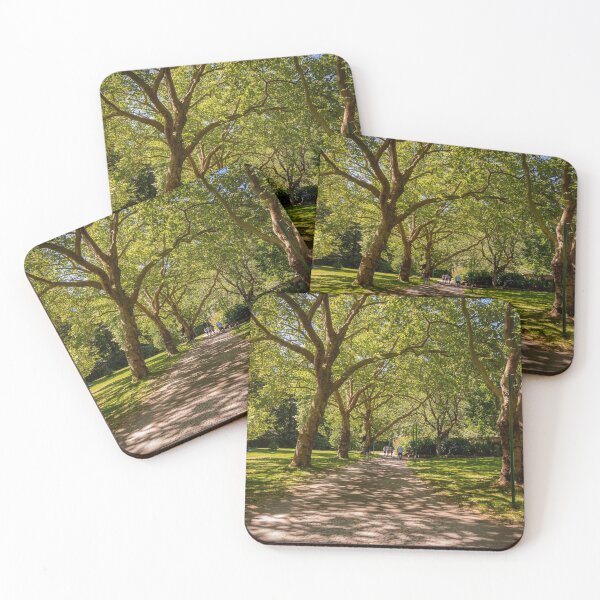 Item preview, A woodland path in Stanley Park, Vancouver, British Columbia, Canada designed and sold by SnapTPhotograph.