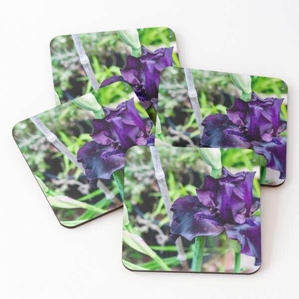 Item preview, Purple Bearded Iris-0290 designed and sold by BunkL.
