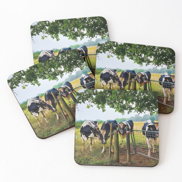 Item preview, Cows on Pieterpad designed and sold by Kayak-Cobber.