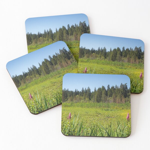 Item preview, An overgrown Beaver Lake in Stanley Park, Vancouver, in the summer designed and sold by SnapTPhotograph.