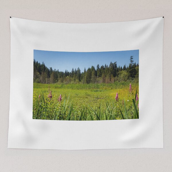 Item preview, An overgrown Beaver Lake in Stanley Park, Vancouver, in the summer designed and sold by SnapTPhotograph.