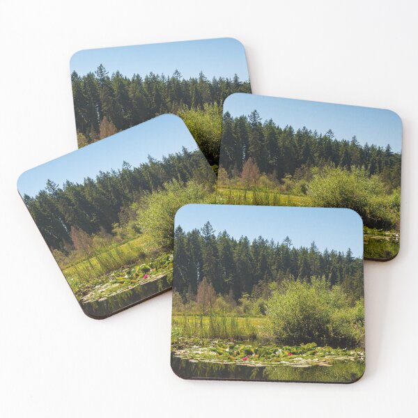 Item preview, Beaver lake on a summers day in Stanley Park, Vancouver, British Columbia designed and sold by SnapTPhotograph.
