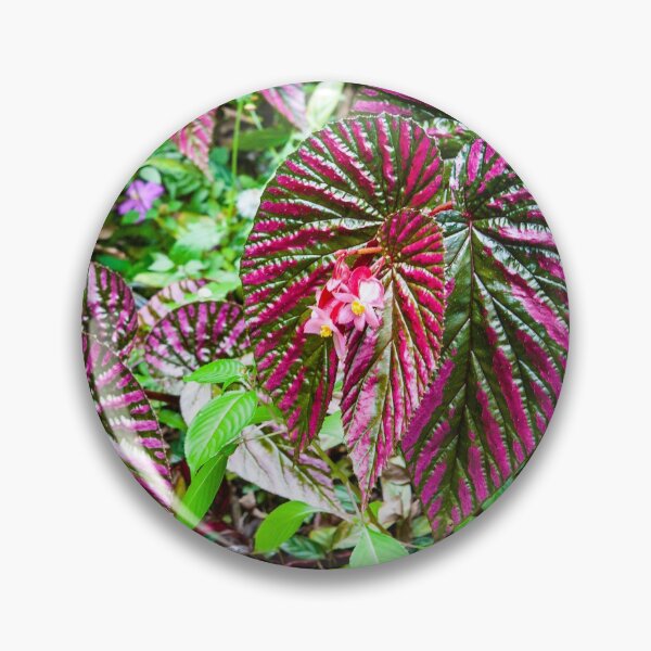 Item preview, Maroon Rain Forest Plant_1142 designed and sold by BunkL.