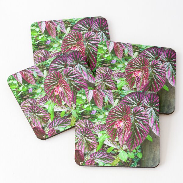 Item preview, Maroon Rain Forest Plant_1142 designed and sold by BunkL.