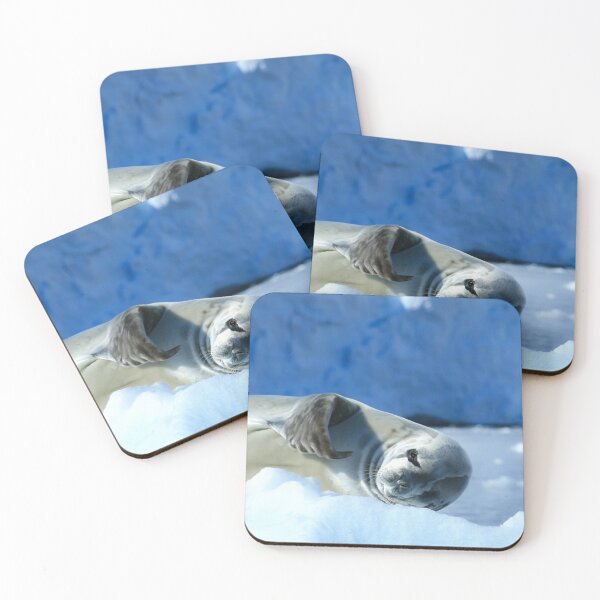 Item preview, Crabeater Seal in Antarctica designed and sold by jstem.