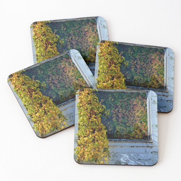 Item preview, Autumn In The Window designed and sold by LynyrdSky.