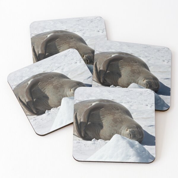 Item preview, Weddell Seal ~ "My bed of ice and snow" designed and sold by Robert Elliott.