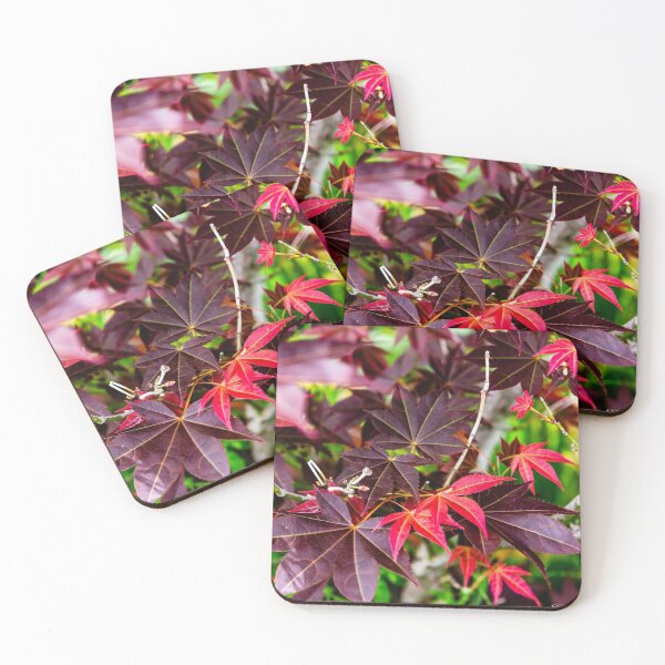 Item preview, Japanese Maple-0278 designed and sold by BunkL.
