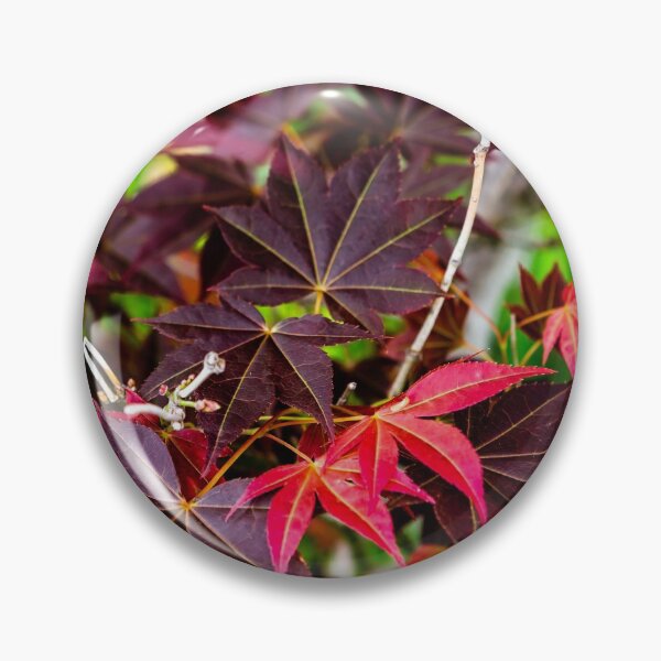 Item preview, Japanese Maple-0278 designed and sold by BunkL.