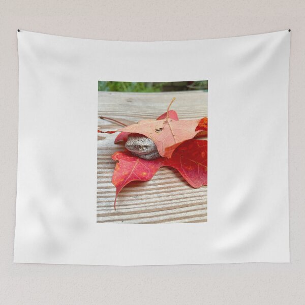 Item preview, Frog Laying Under Colorful Leaves  designed and sold by brittyisme.