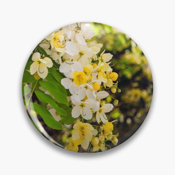 Item preview, Kauai white/yellow tree 2013-0930 designed and sold by BunkL.