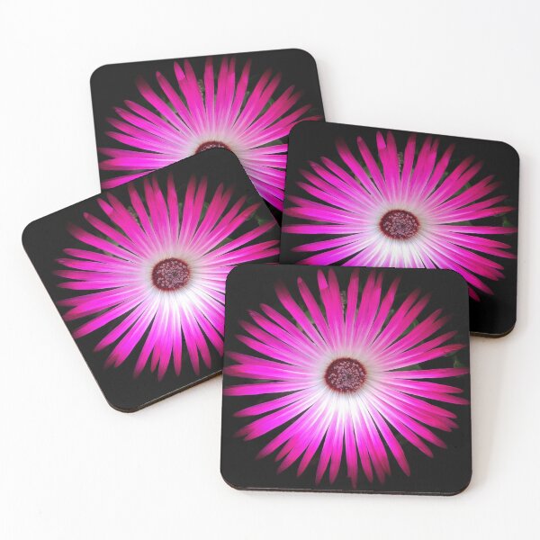Item preview, Beautiful Livingstone Daisy designed and sold by penguinblue.