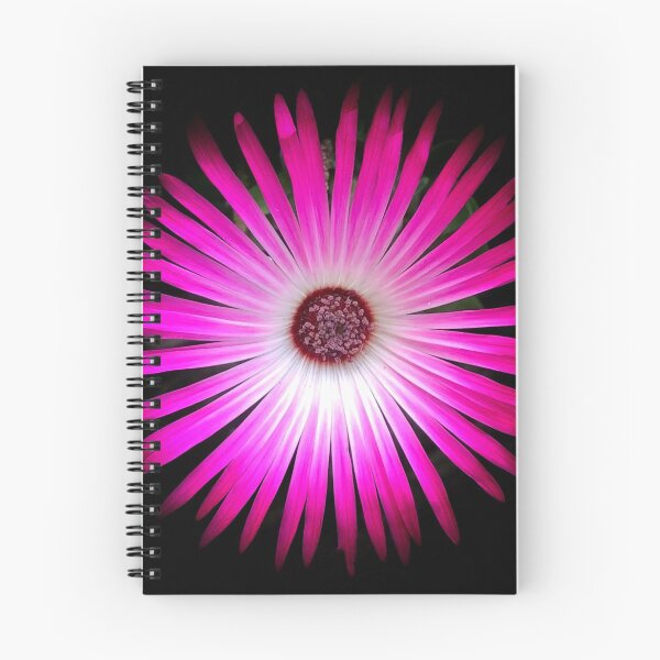 Item preview, Beautiful Livingstone Daisy designed and sold by penguinblue.