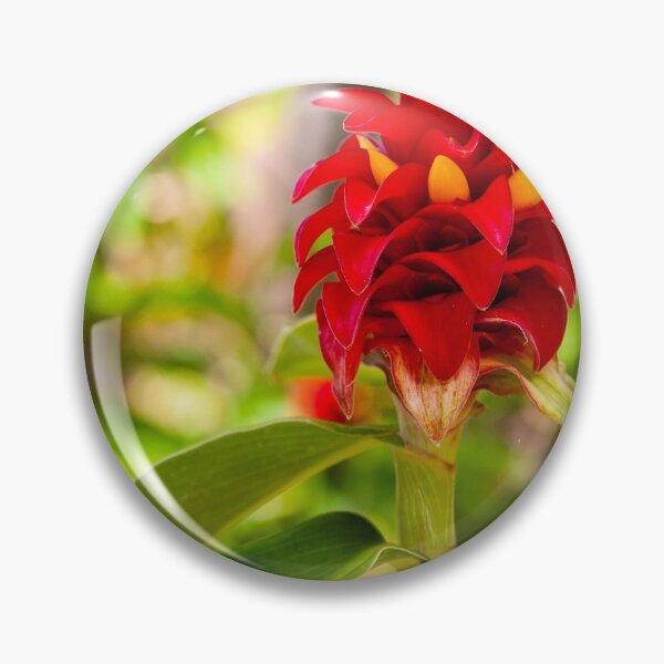 Item preview, Red Ginger - Kauai 2013-0927 designed and sold by BunkL.