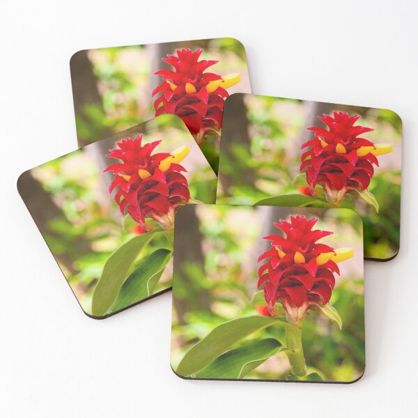 Item preview, Red Ginger - Kauai 2013-0927 designed and sold by BunkL.