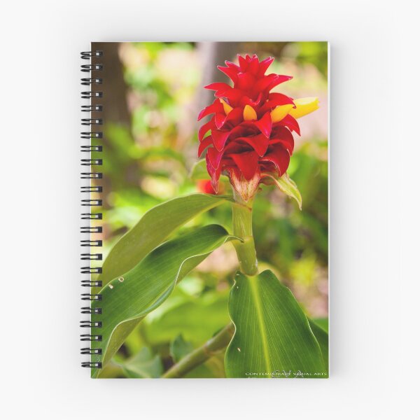 Item preview, Red Ginger - Kauai 2013-0927 designed and sold by BunkL.