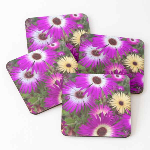Item preview, Pretty Livingstone Daisies designed and sold by penguinblue.