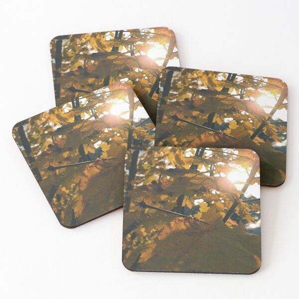 Item preview, Sun shines trough autumn leaves - The colors of autumn - Photography designed and sold by greatnorris.