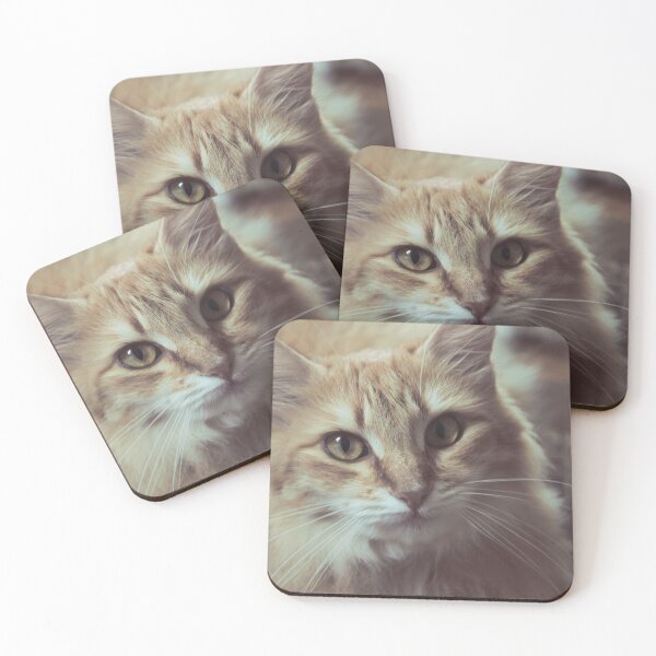 Item preview, Beautiful yellow kitten designed and sold by ideas favoritas.