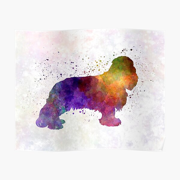 Cavalier King Charles Spaniel in watercolor Poster