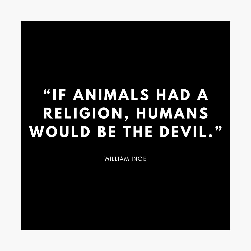 William Inge quote William Inge quote