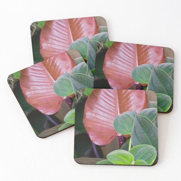 Item preview, Tropical leaves, washington DC designed and sold by taylaphotos.