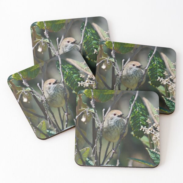 Item preview,  THORNBILL ~ Brown Thornbill 9uWfohXA by David Irwin 221220 designed and sold by tasmanianartist.
