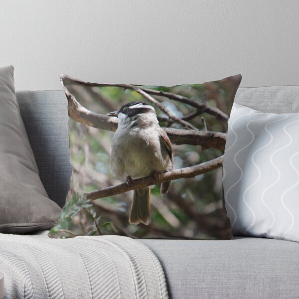 HONEYEATER ~ Strong-billed Honeyeater SDU7uoZ4 by David Irwin 221220 Throw Pillow