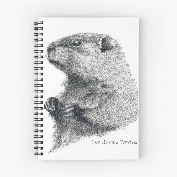 Item preview, Groundhog designed and sold by Lee James Pantas.