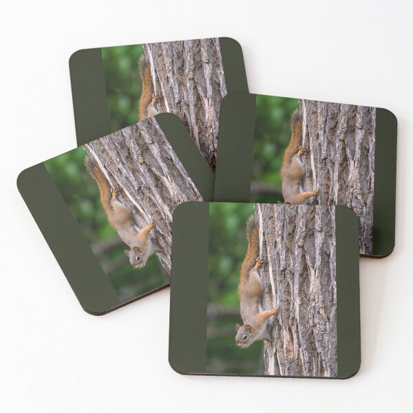 Item preview, Red squirrel looking right from a brown tree trunk designed and sold by Borinna.