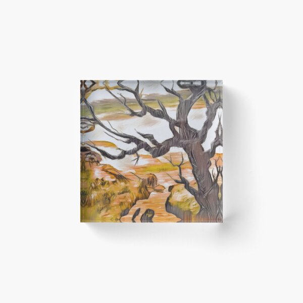 Ducking branches. Acrylic Block