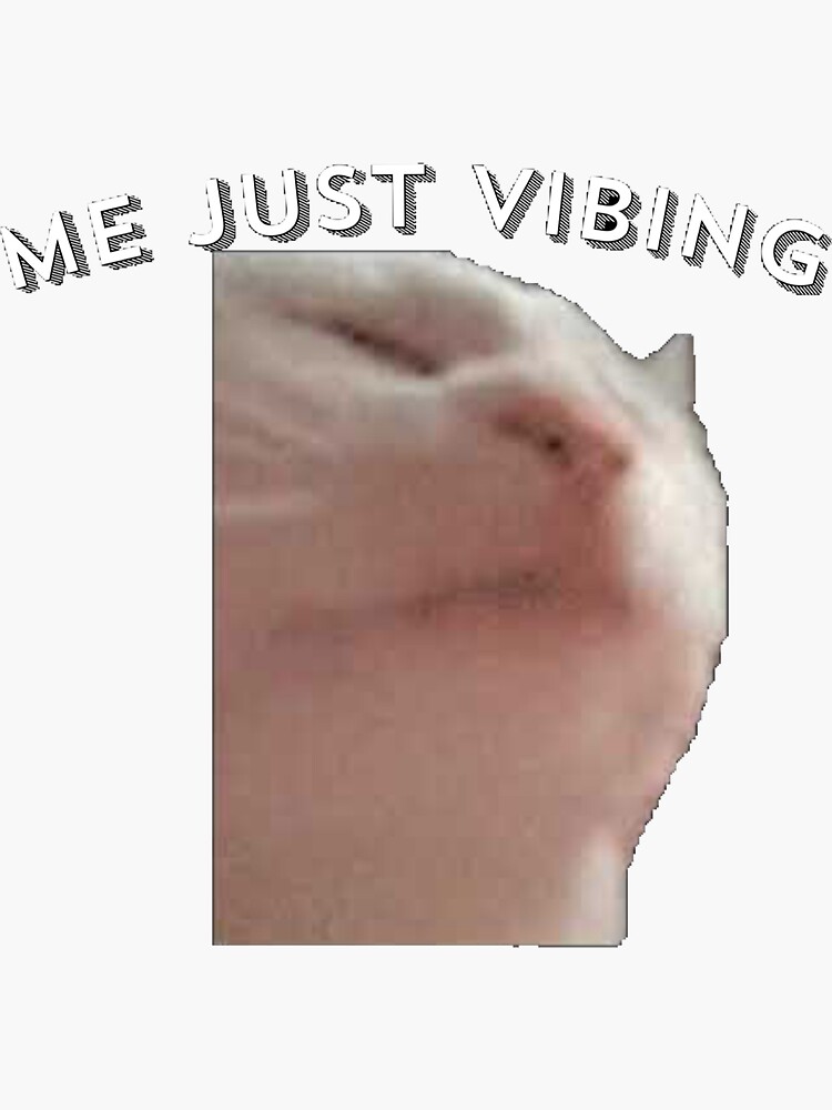 "Cat vibing meme" Sticker by Amoron21 Redbubble