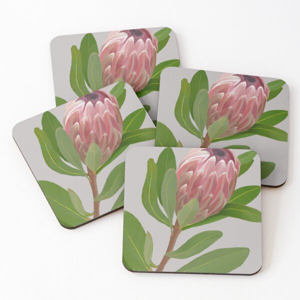 Item preview, Protea Drawing  designed and sold by GillianTapping.