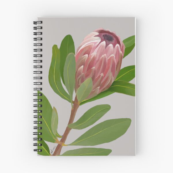 Item preview, Protea Drawing  designed and sold by GillianTapping.
