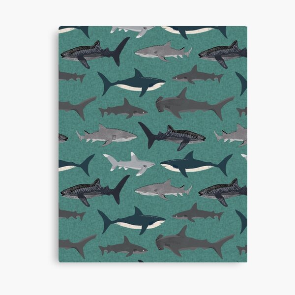 Sharks illustration art print ocean life sea life animal marine biologist kids boys gender neutral educational Andrea Lauren Canvas Print