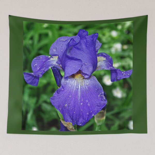 Item preview, Cool blue-violet Iris 'Sea Master' designed and sold by rvjames.