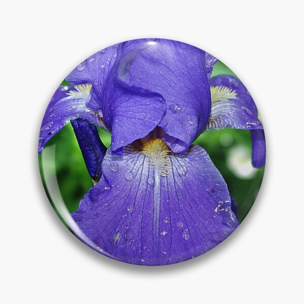 Item preview, Cool blue-violet Iris 'Sea Master' designed and sold by rvjames.