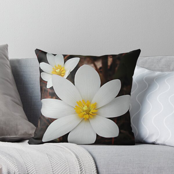 Item preview, Bloodroot flowers shining in the spring designed and sold by rvjames.